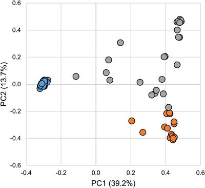 Gut Microbiota Associated With Different Sea Lamprey (Petromyzon marinus) Life Stages